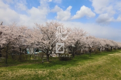 23f63936653bdc96316eacf2d3792c93