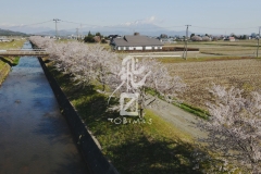ca5ca94866b76032aa99644eea9f3c43