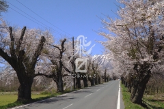 d60fd0f0e4b9e17be81ea11492bbce3a