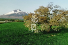 hachimantai00000003