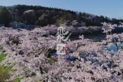 morioka00000000