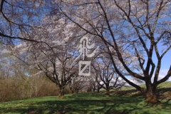 shizukuishi00000000